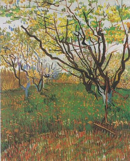 Vincent Van Gogh Flowering Orchard France oil painting art